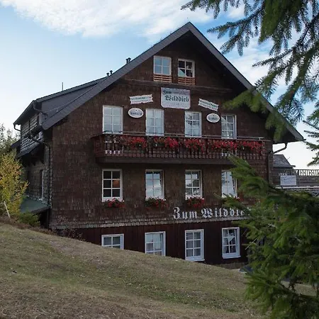 Berggasthof Zum Wilddieb ホテル ヴィリンゲン